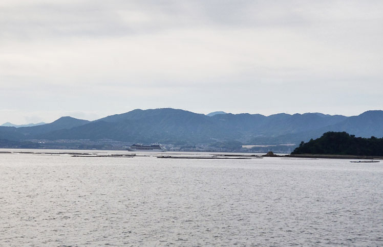 アマモ再生活動