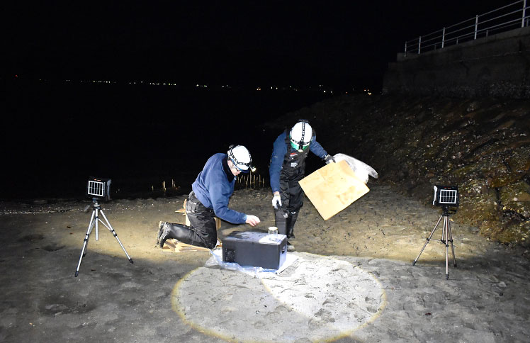 アマモ再生活動