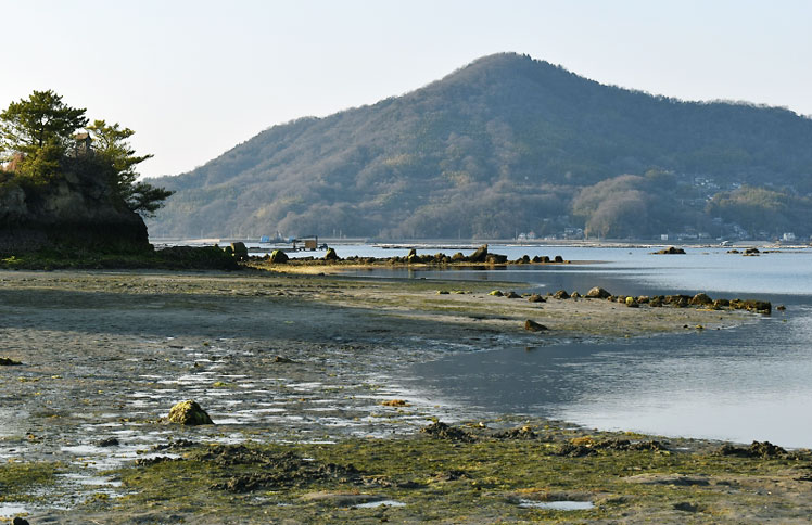 アマモ再生活動